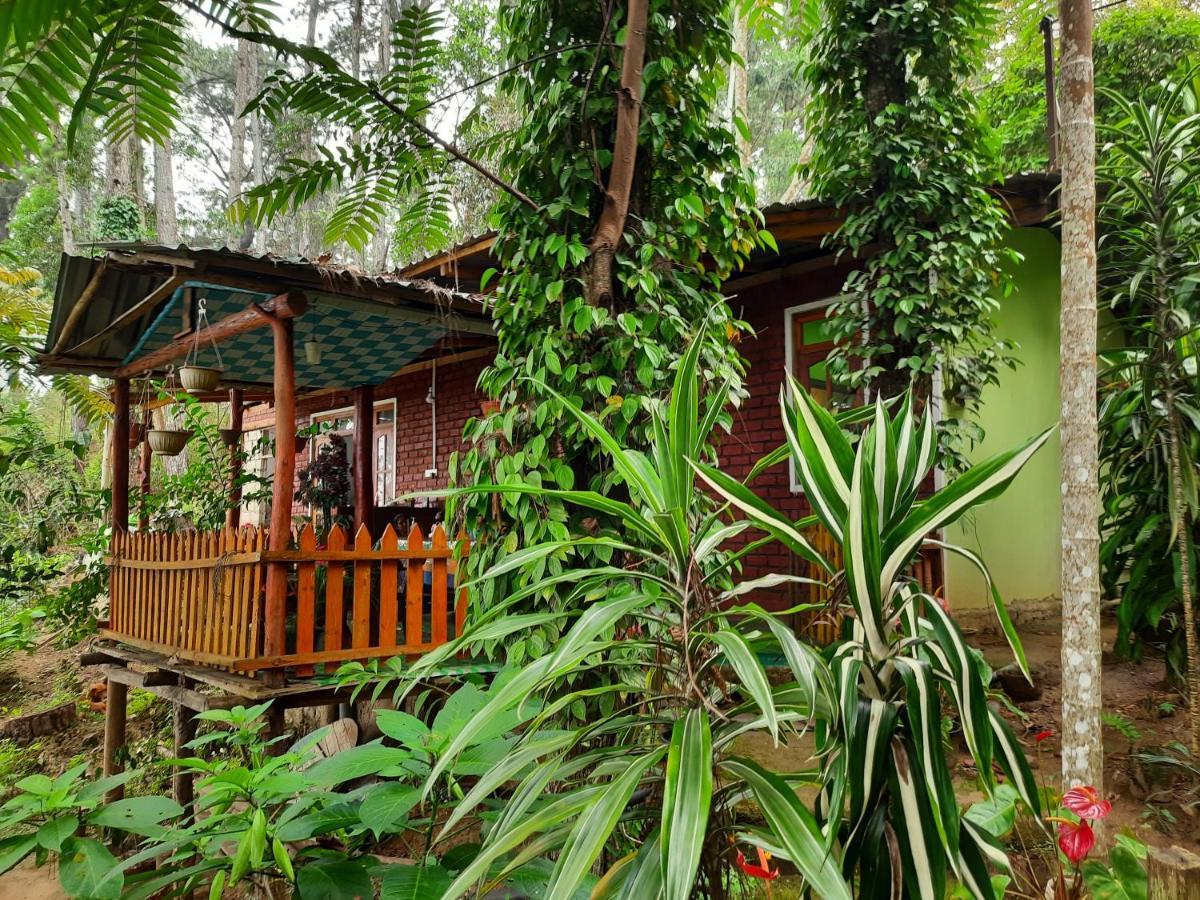 Green Heaven Lodge Ella Eksteriør billede