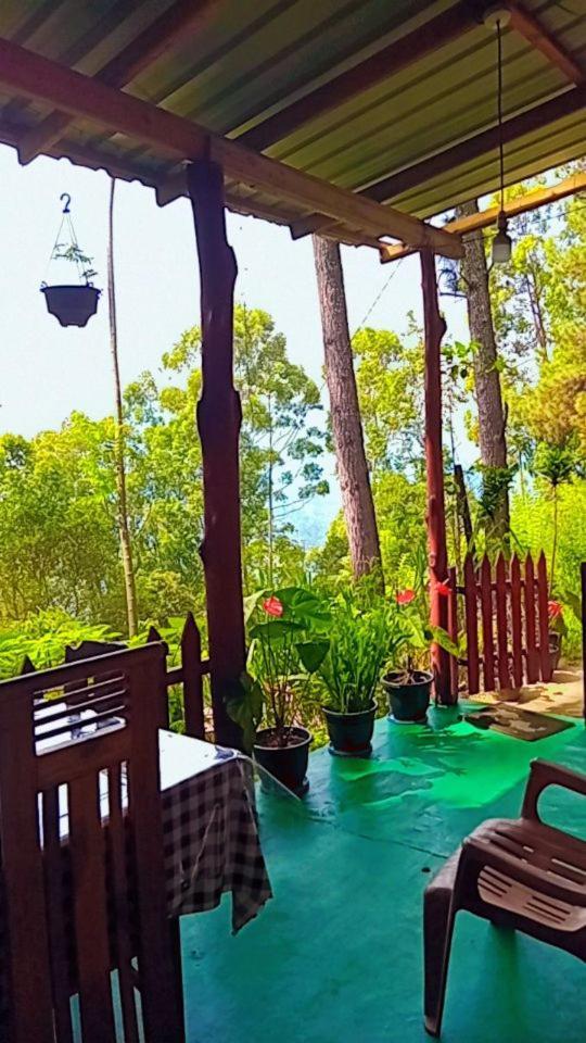 Green Heaven Lodge Ella Eksteriør billede